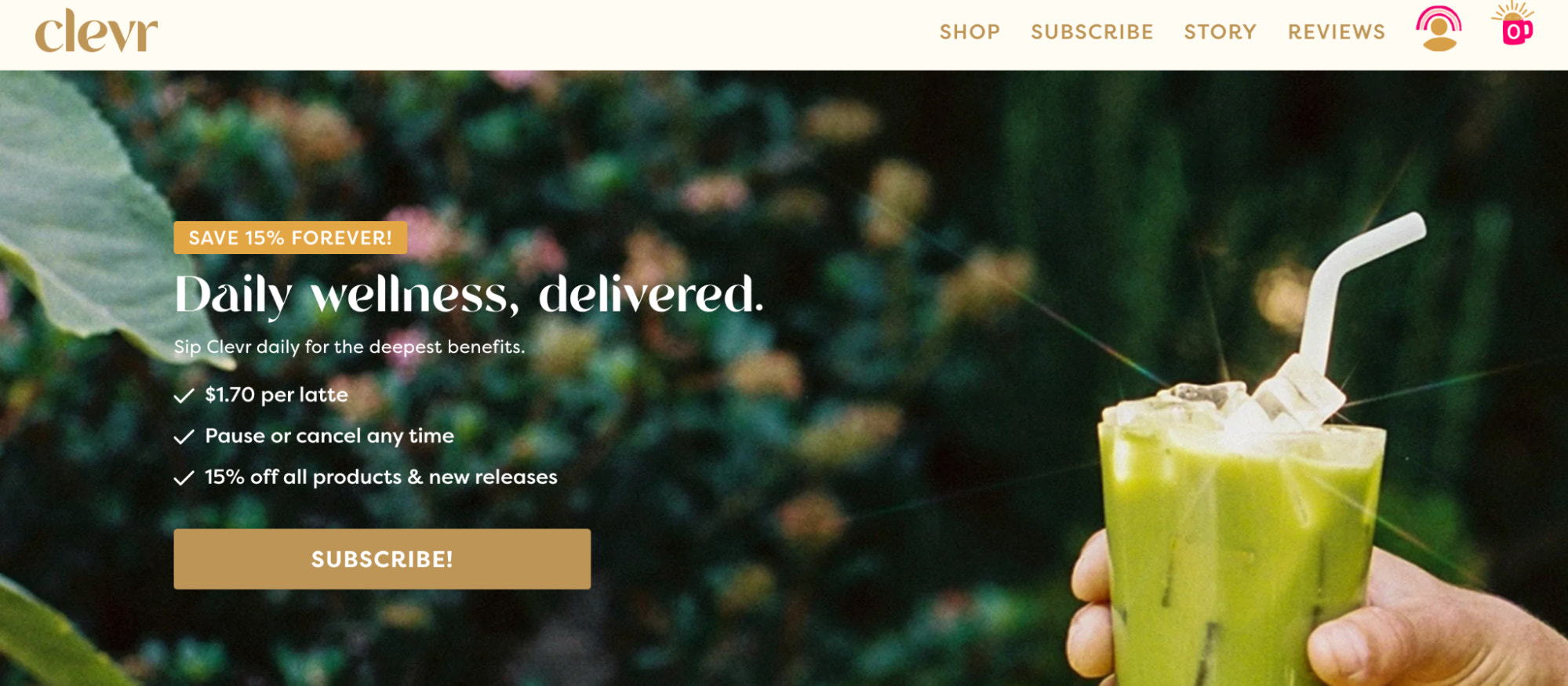 Screenshot of Clever Blends website