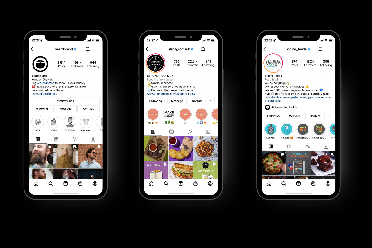 完整的个人资料在Instagram的例子