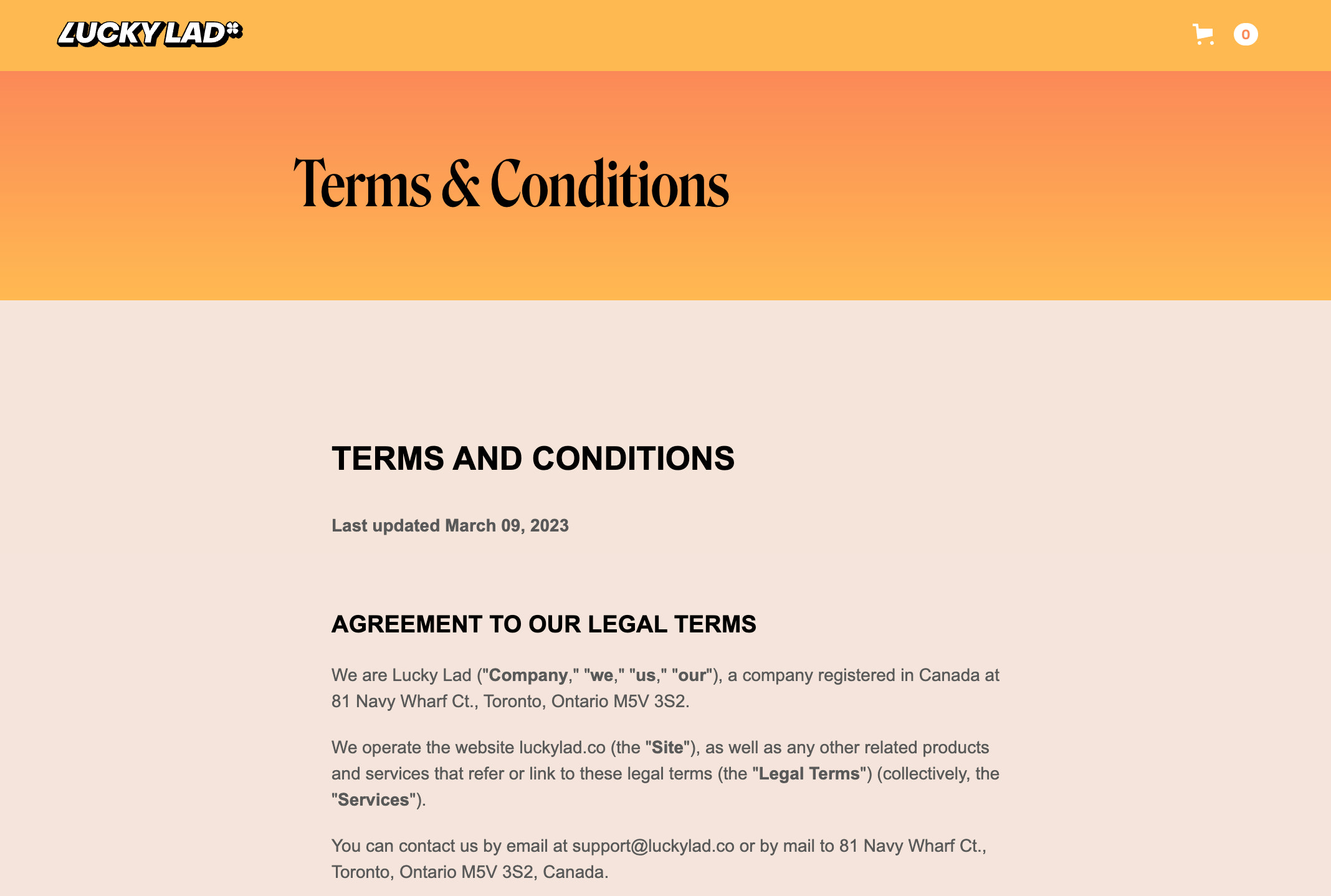 Ecommerce terms and conditions page for online business Lucky Lad