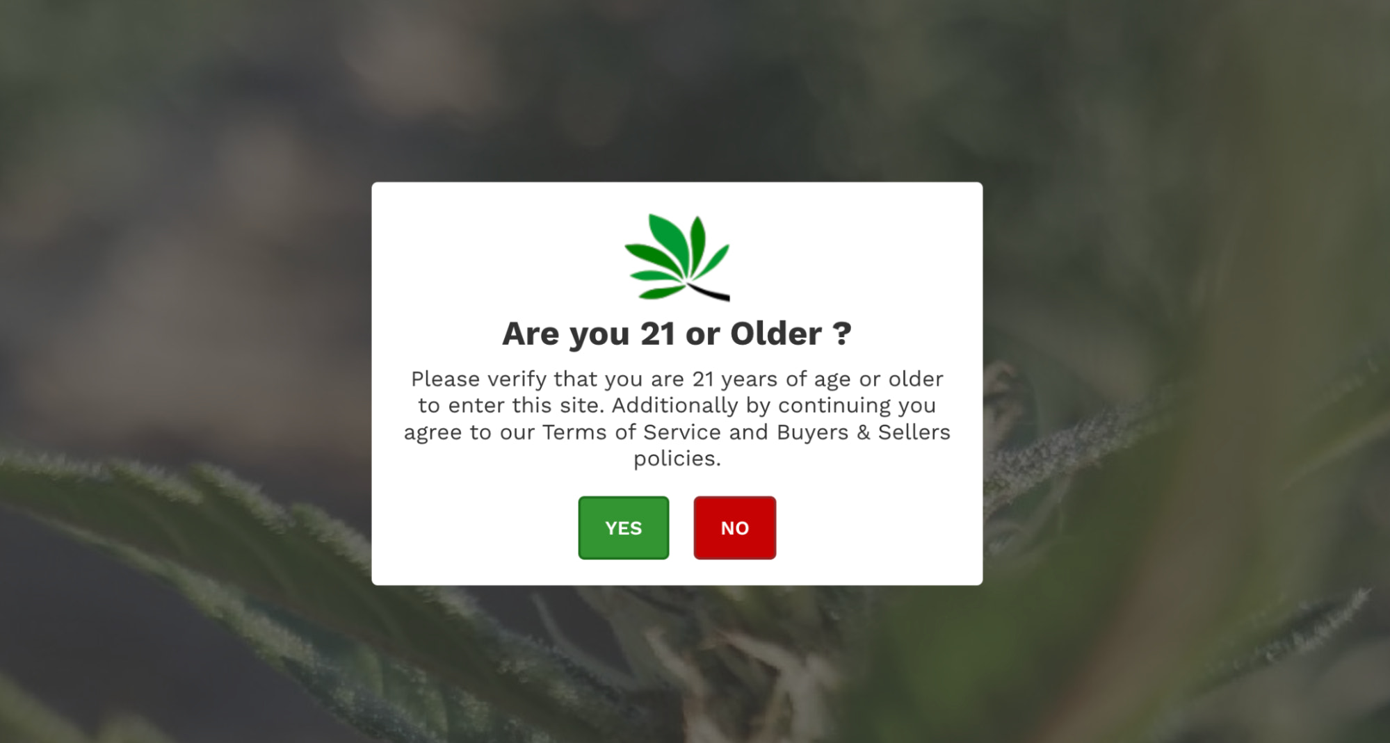 A pop up that asks website visitors if they are 21 years or older, with yes/no buttons below