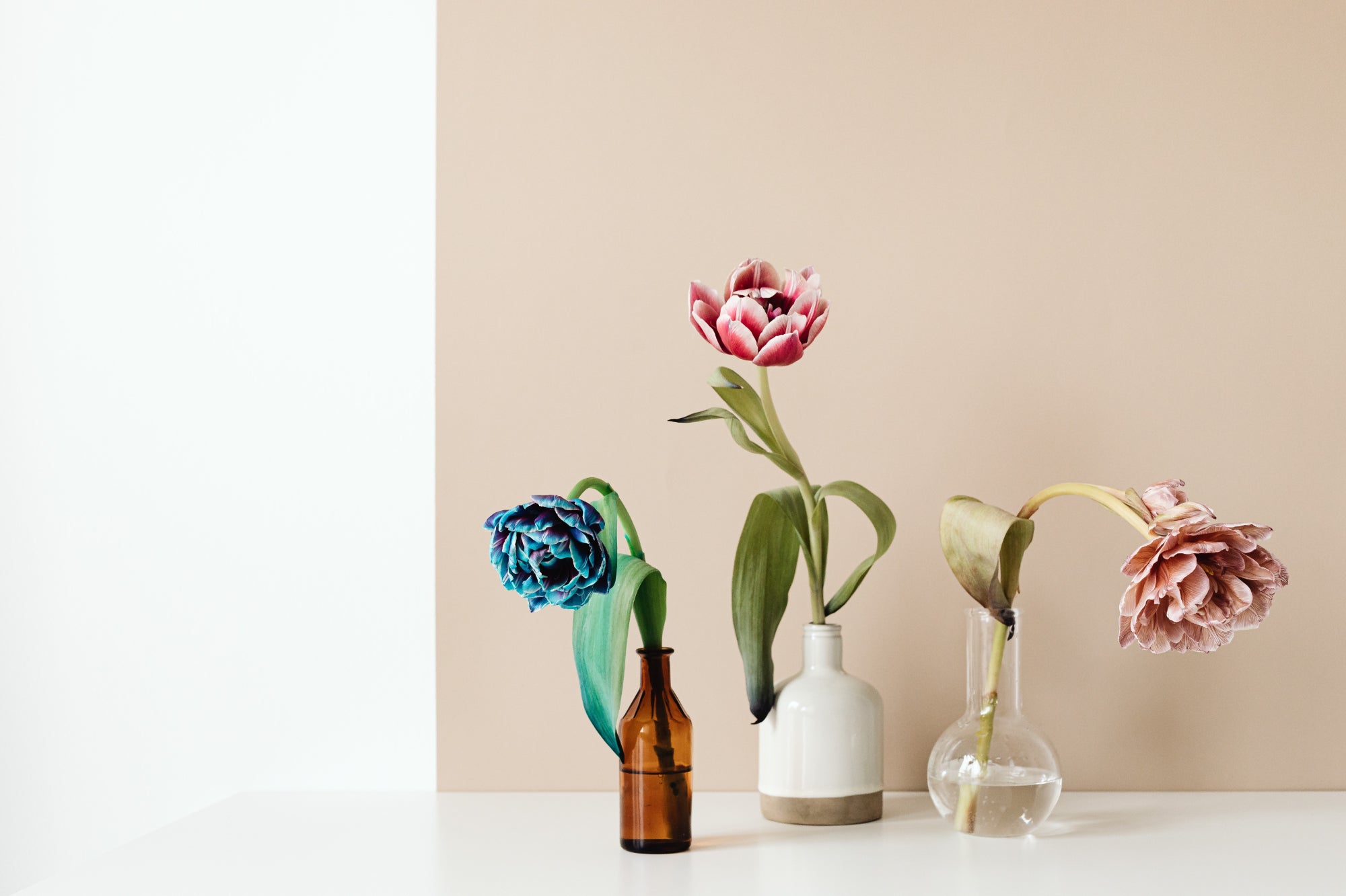 various vases full of flowers are arranged together against a neutral backdrop