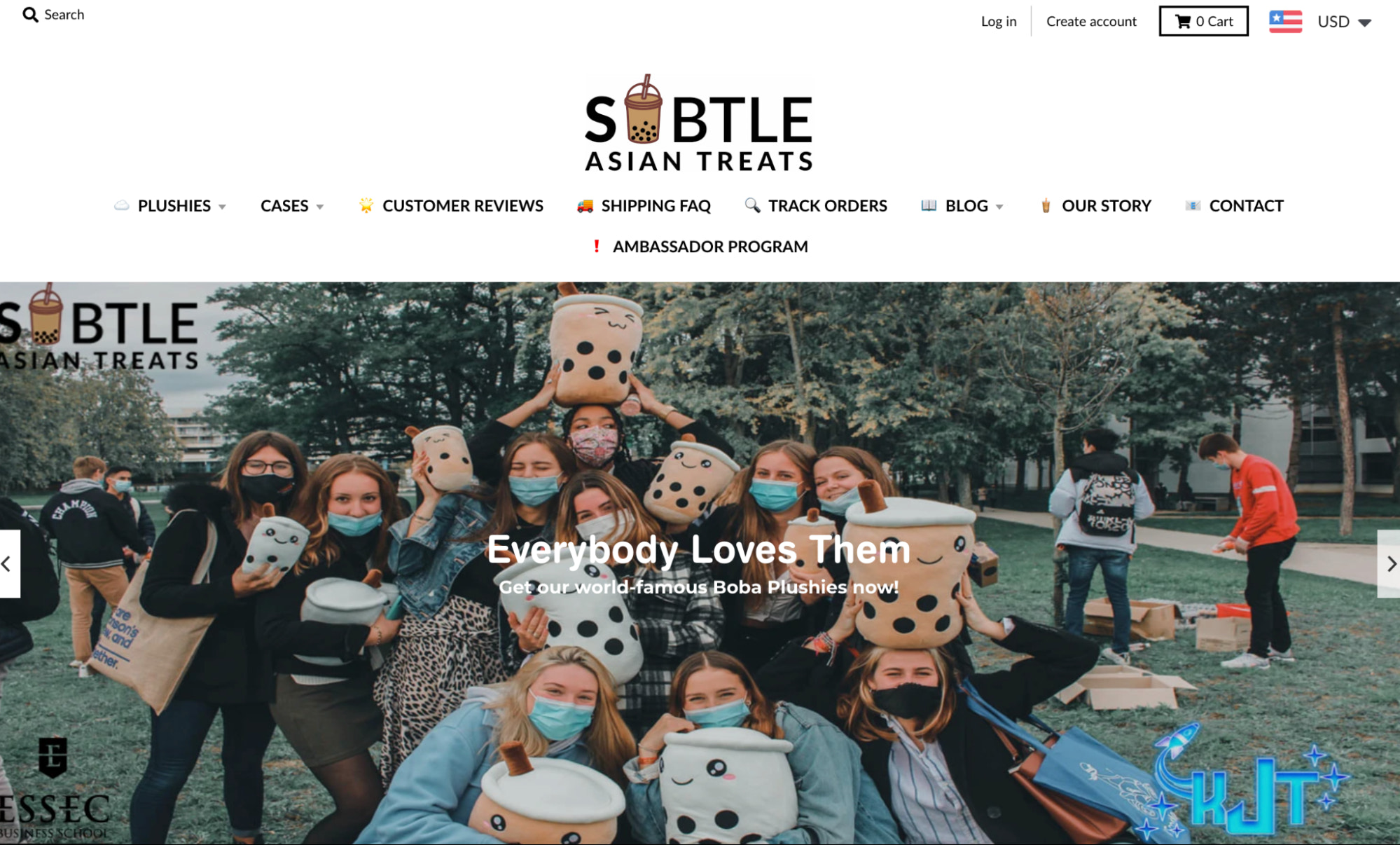 dropshipping store example