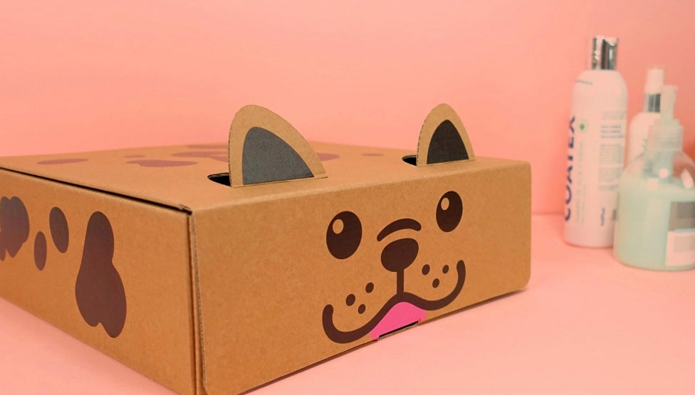 Crear tienda de ropa在线