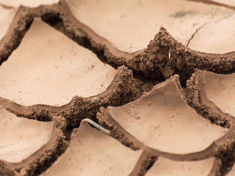 libreshot banque images