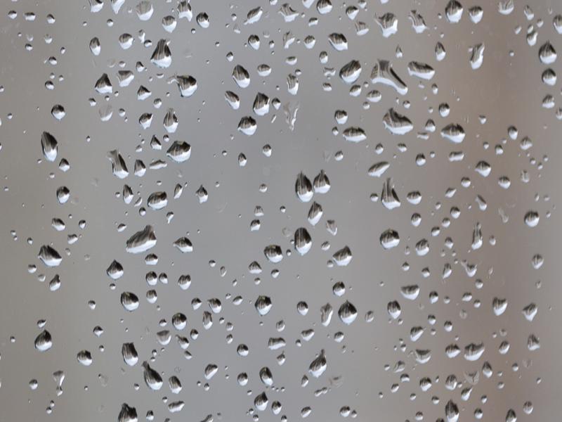 picdrome banque images