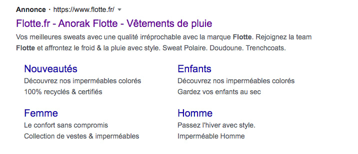 Publicité Flotte Google Ads