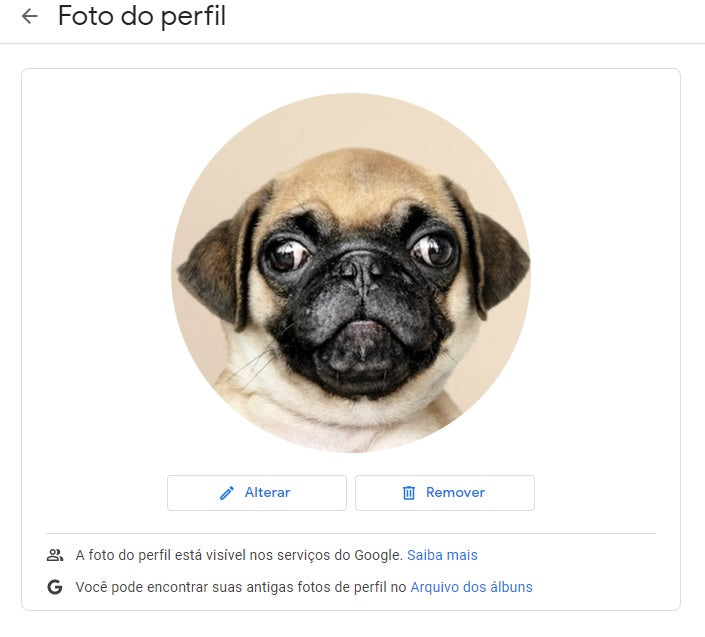 fazer upload da foto de perfil