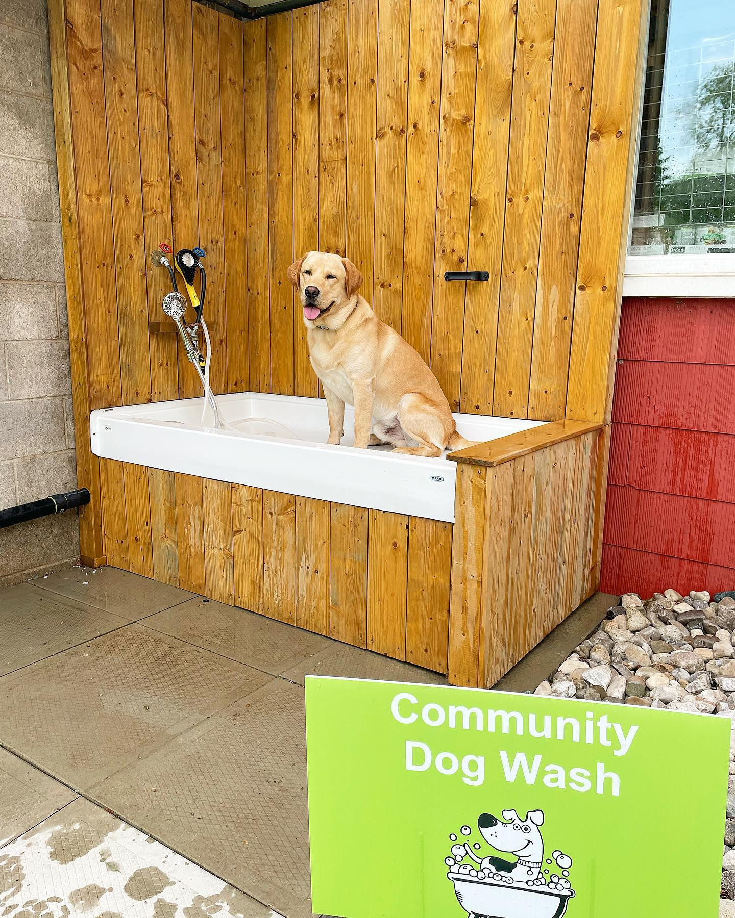 Wendel Bark (named after former hockey player, Wendel Clark) has become a town celebrity