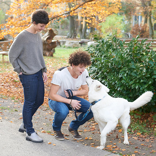 fairjeans ist ein nachhaltiger Onlineshop auf Shopify.