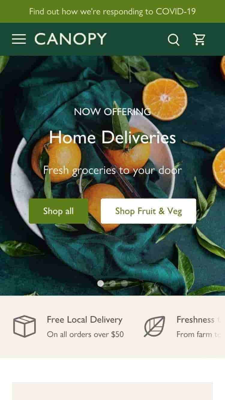 Forhåndsvisning på mobil for Canopy med stilen “Natural”