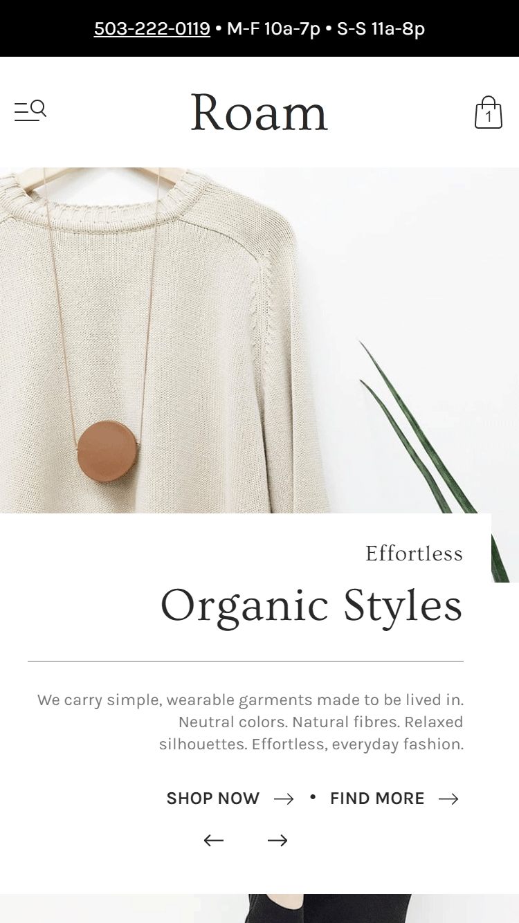 为漫游医疗服务(Roam med stilen“Shared”)设计支持移动