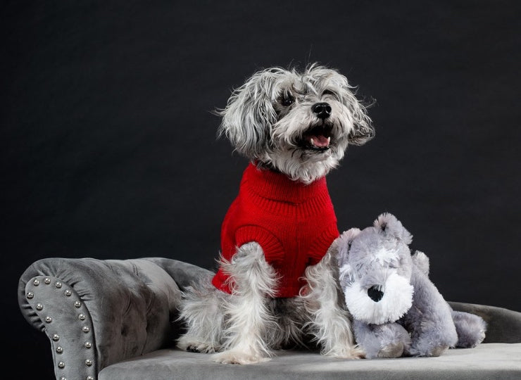 动物产品estimação